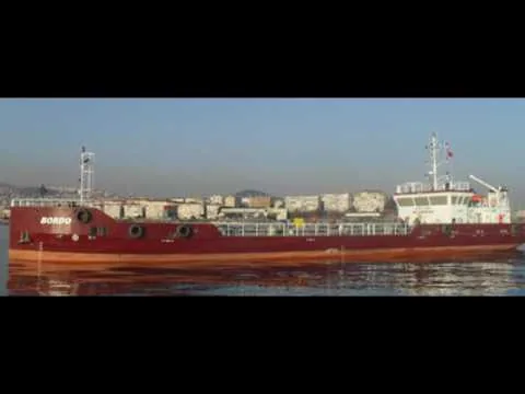 Official video thumbnail showing a hydraulic davit deck crane